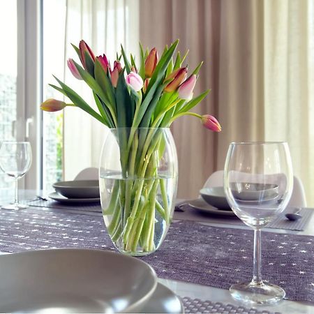 Modern Wohnen I Smart Tv I Terrasse I 2X Parkplatz I 2 Schlafzimmer I 6 Schlafplaetze 바트왼하우젠 외부 사진